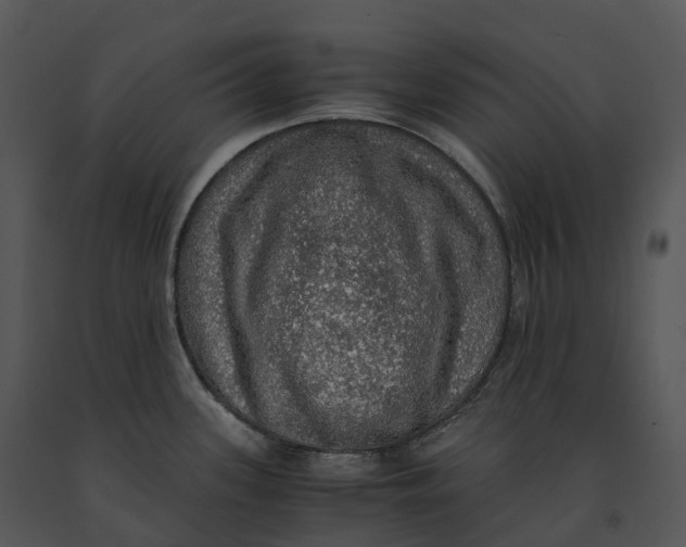 X0000091201339200708301553