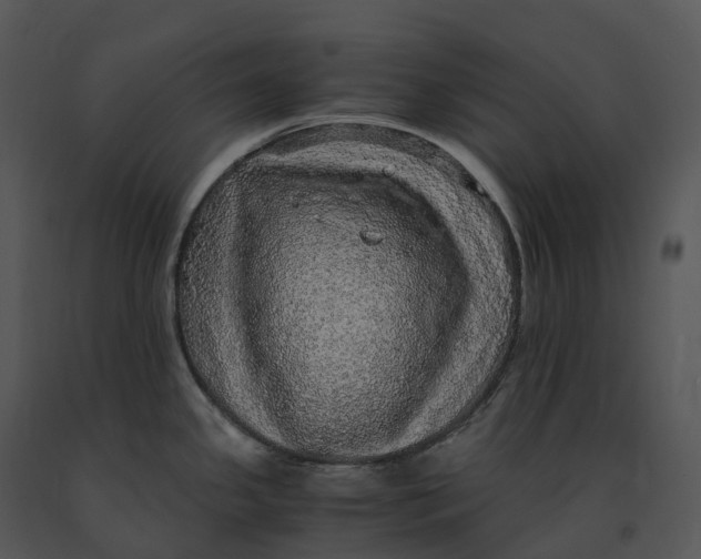 X0000091201341200708301553
