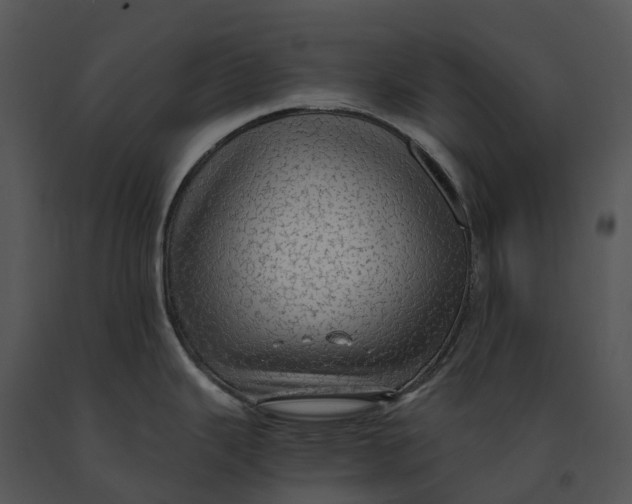 X0000091201343200708301553