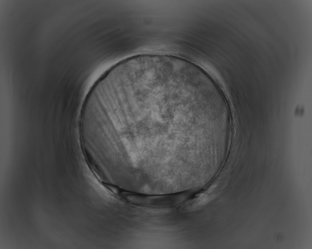 X0000091201344200708301553