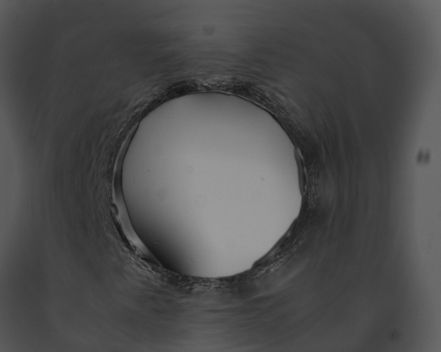 X0000091201345200708301552