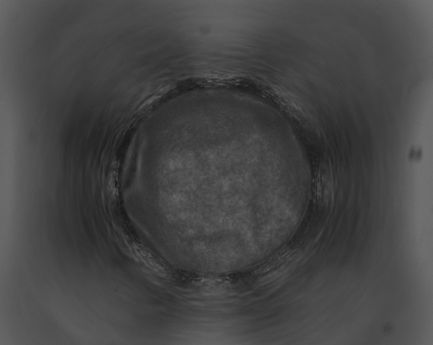 X0000091201346200708301552
