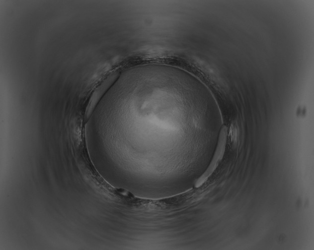 X0000091201348200708301552