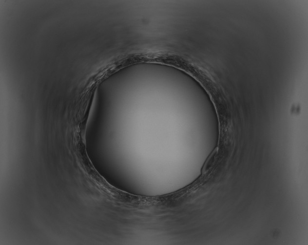X0000091201349200708301552