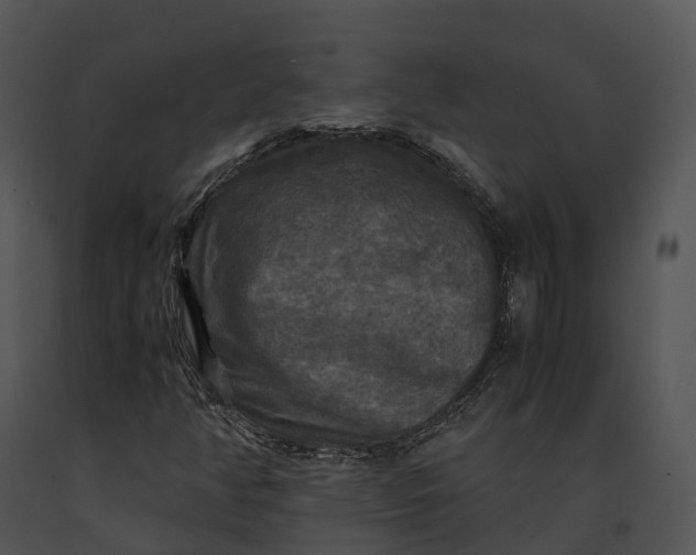 X0000091201350200708301552