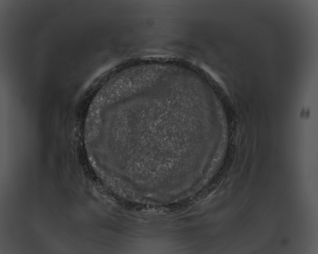 X0000091201351200708301552