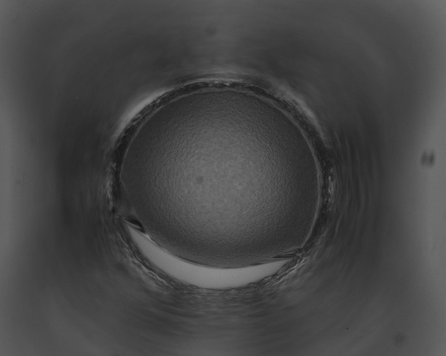 X0000091201352200708301552
