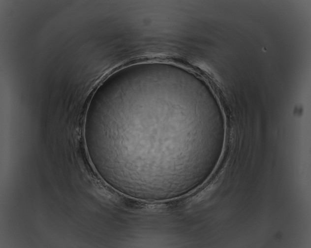 X0000091201353200708301552