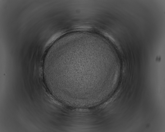 X0000091201354200708301552
