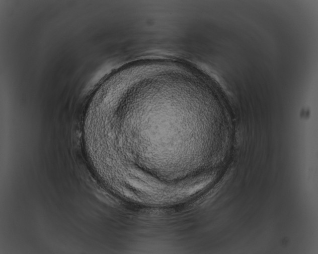 X0000091201355200708301552