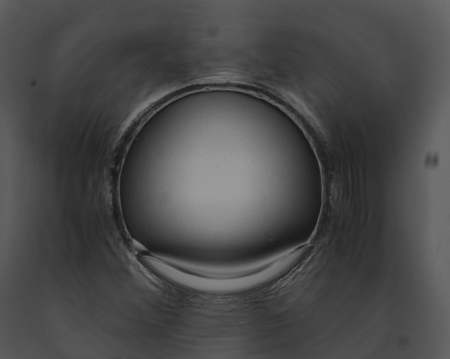 X0000091201356200708301552