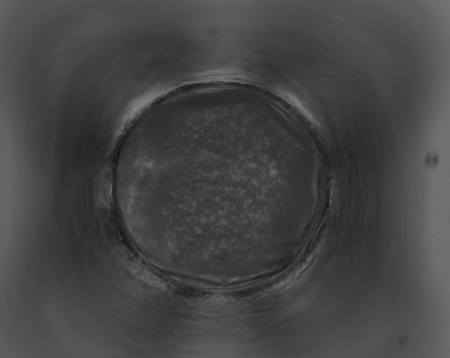 X0000091201358200708301552