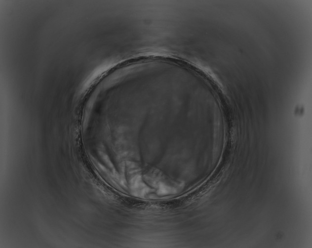 X0000091201359200708301552