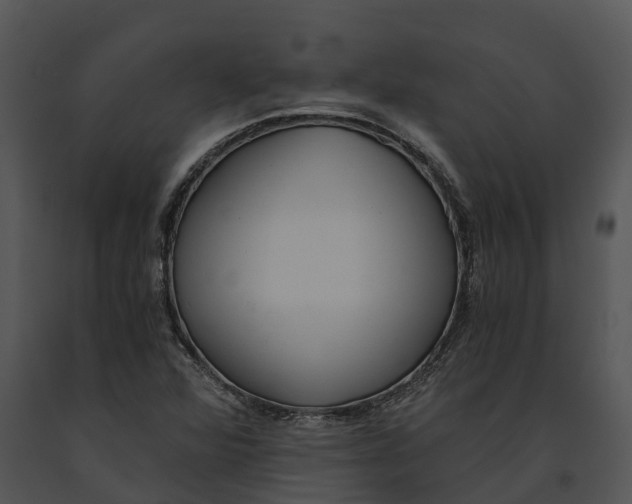 X0000091201360200708301552