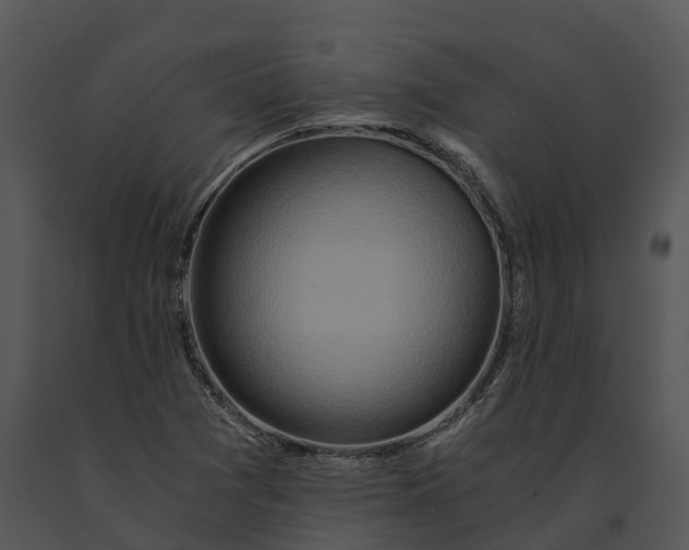 X0000091201361200708301552