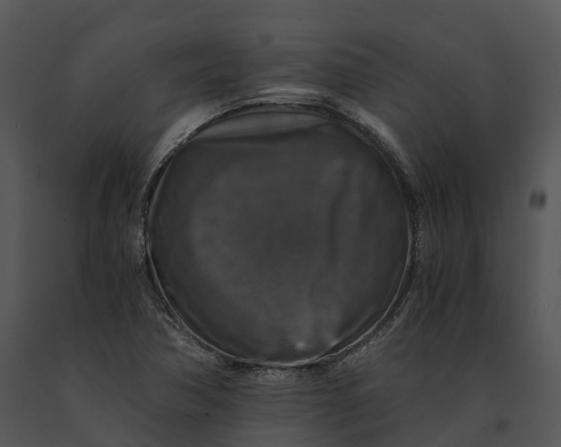 X0000091201362200708301552