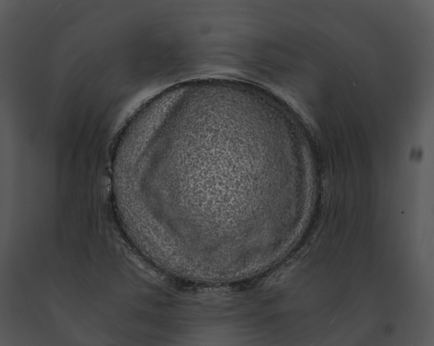X0000091201363200708301552