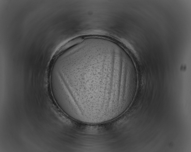 X0000091201364200708301552