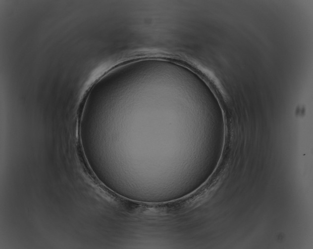 X0000091201365200708301552