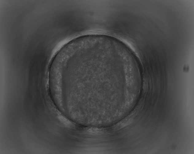 X0000091201366200708301552