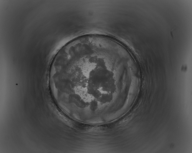 X0000091201367200708301552