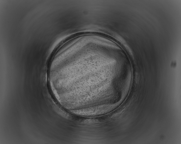 X0000091201368200708301552
