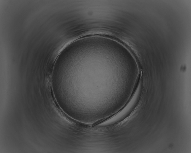 X0000091201369200708301552