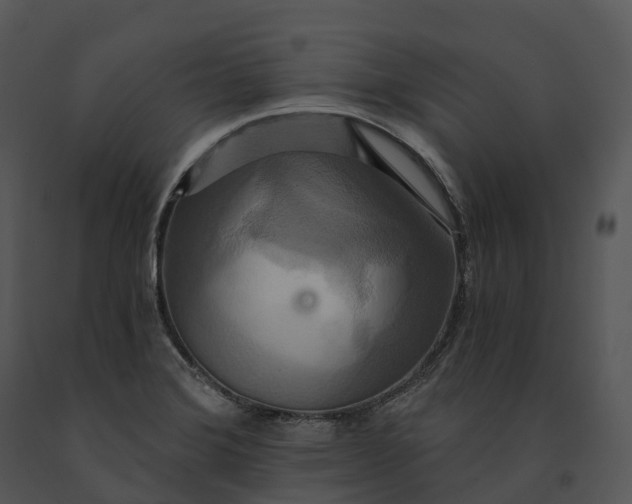 X0000091201372200708301552