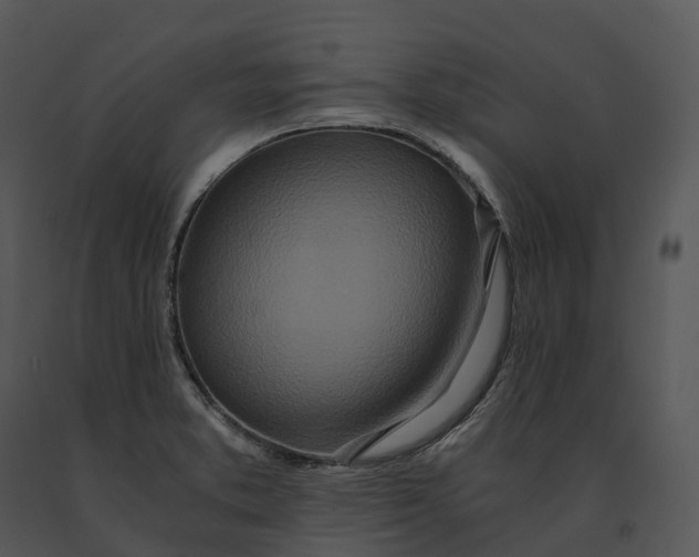 X0000091201373200708301552