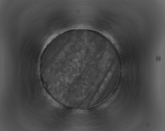 X0000091201374200708301552