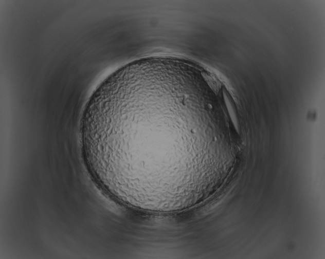 X0000091201375200708301552