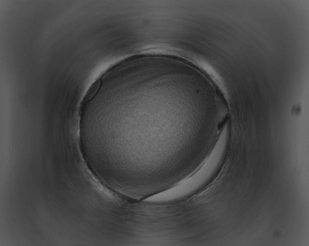 X0000091201376200708301552