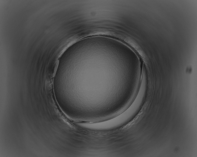 X0000091201377200708301552