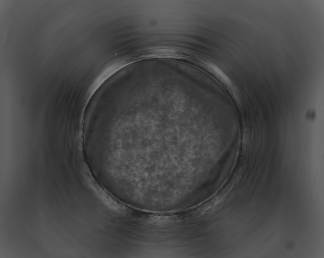 X0000091201378200708301552