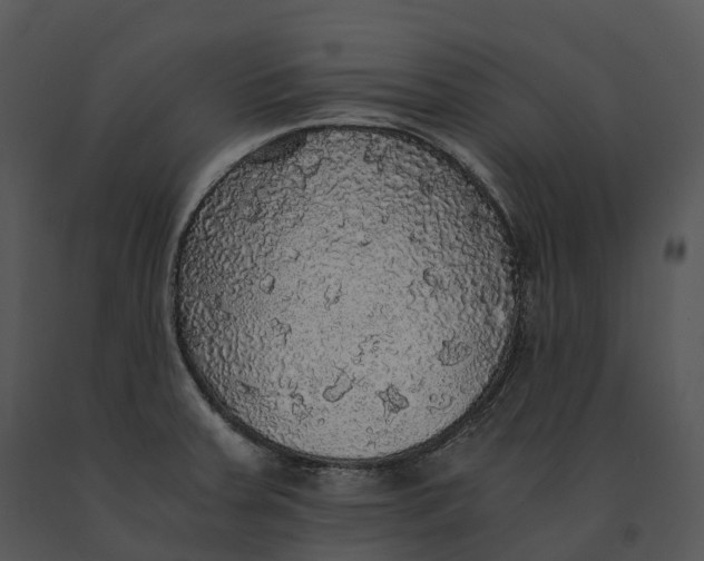 X0000091201379200708301552