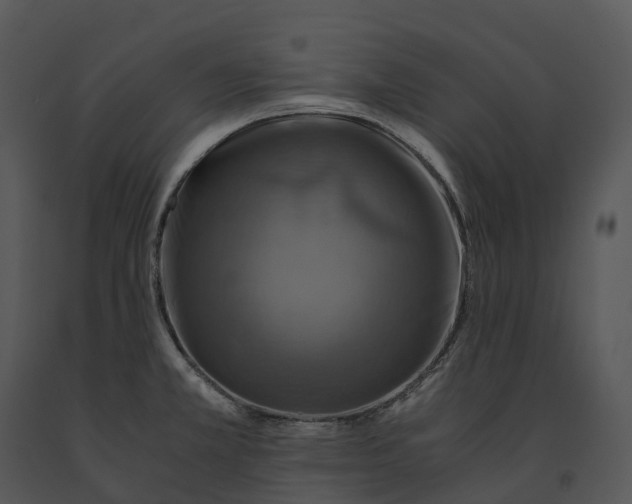 X0000091201381200708301552