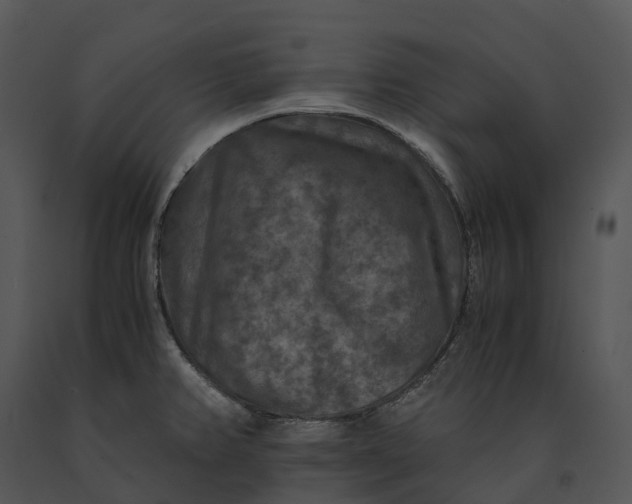 X0000091201382200708301552