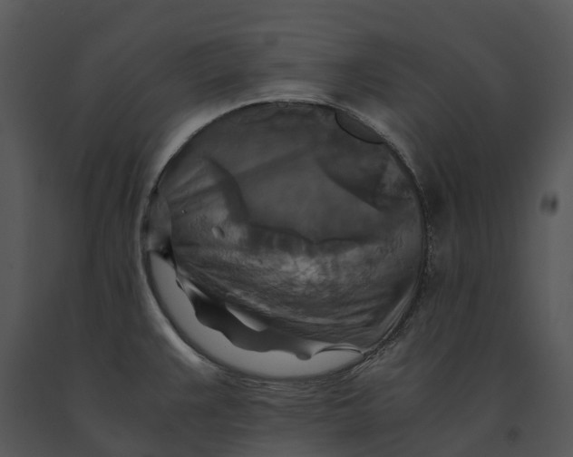 X0000091201383200708301552