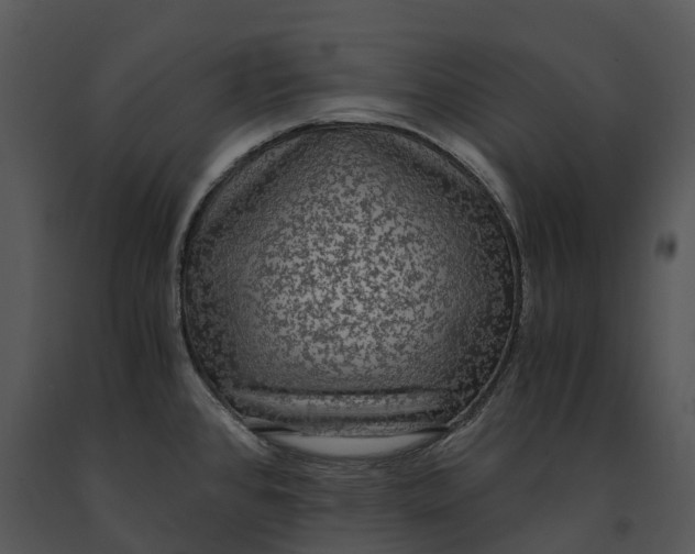 X0000091201384200708301552