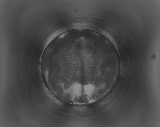 X0000091201386200708301552
