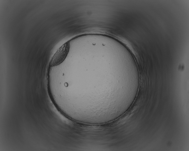 X0000091201387200708301552