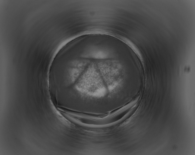X0000091201388200708301552