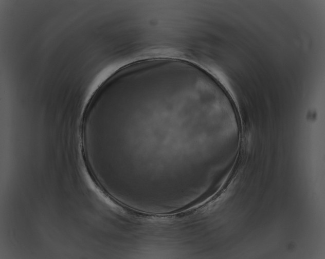 X0000091201389200708301552