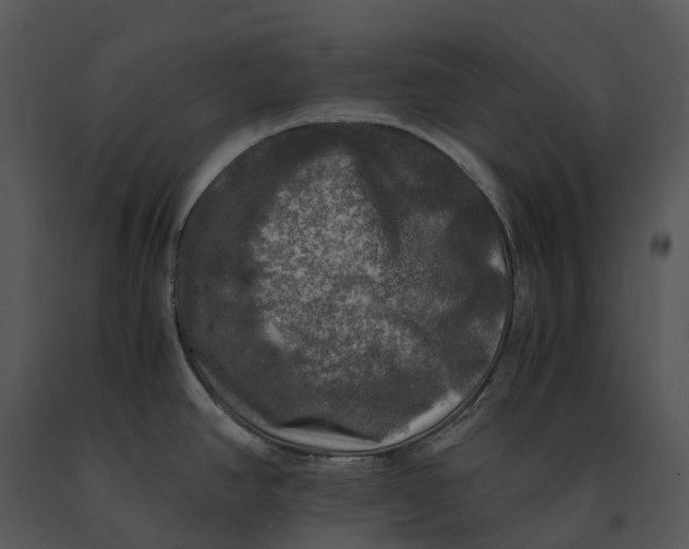 X0000091201390200708301552