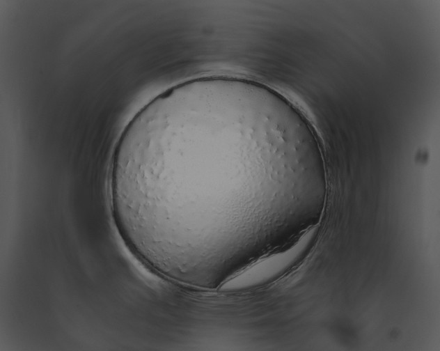 X0000091201391200708301552