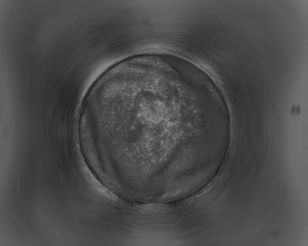X0000091201392200708301552