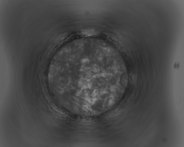 X0000091201393200708301551