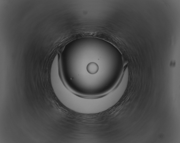 X0000091201394200708301551