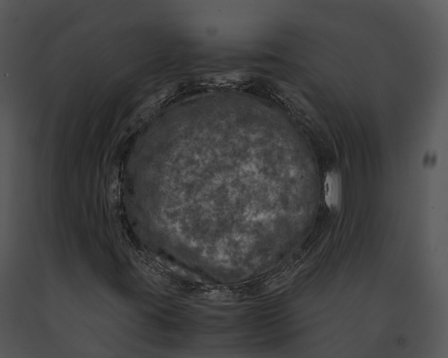X0000091201395200708301551
