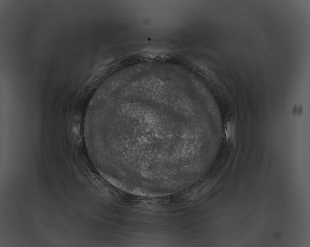 X0000091201396200708301551